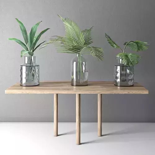 decorative plant collection on wooden stand 