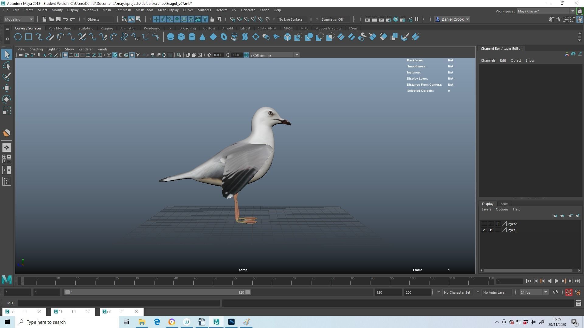 Realistic Seagull Model - Animated Low-poly 3D model_6