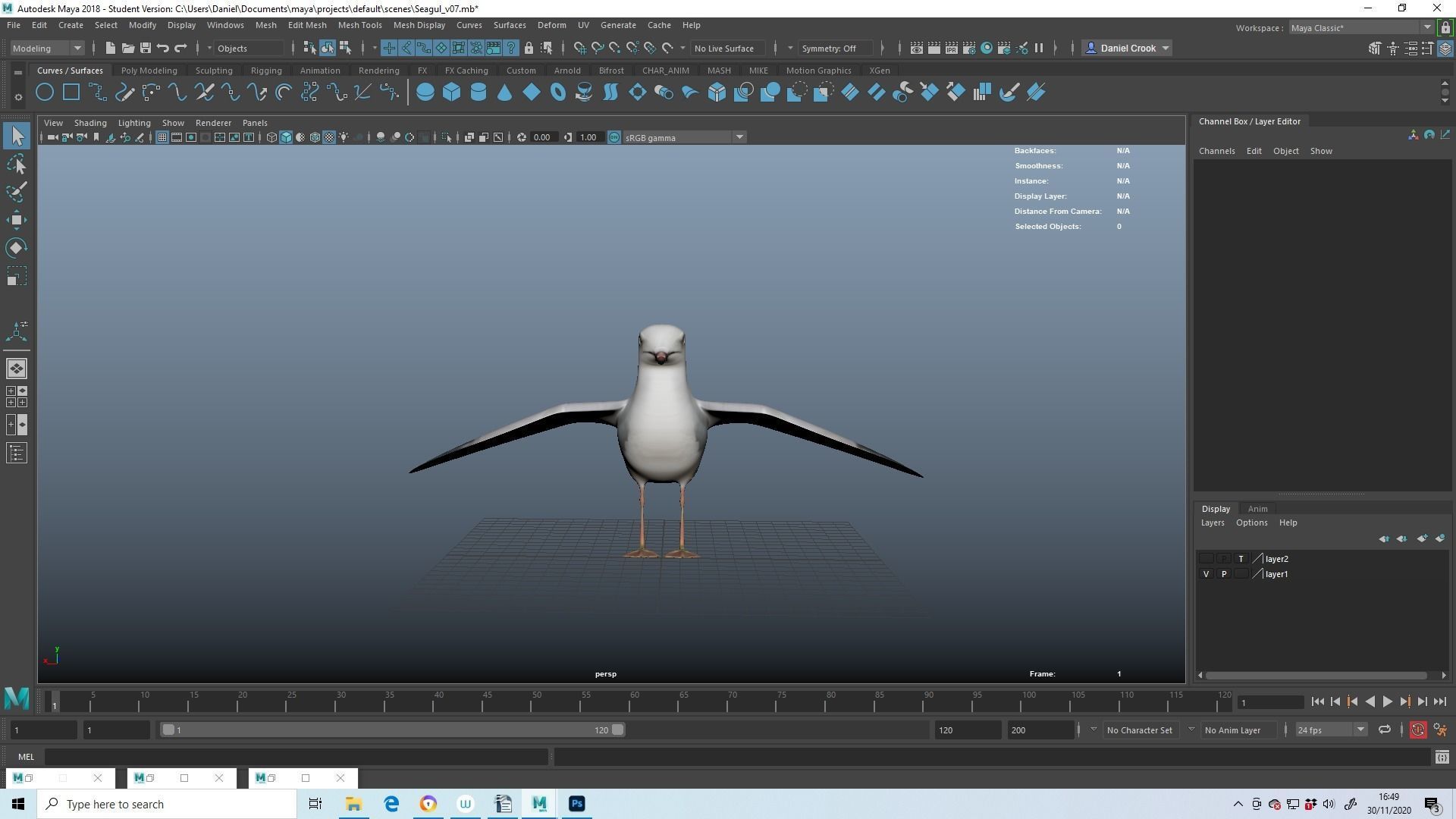 Realistic Seagull Model - Animated Low-poly 3D model_5
