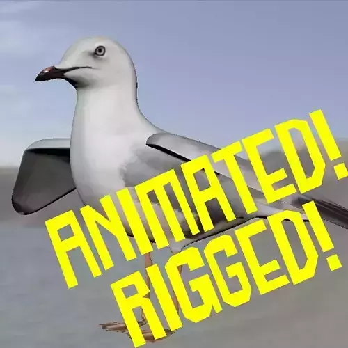 Realistic Seagull Model - Animated Low-poly 3D model