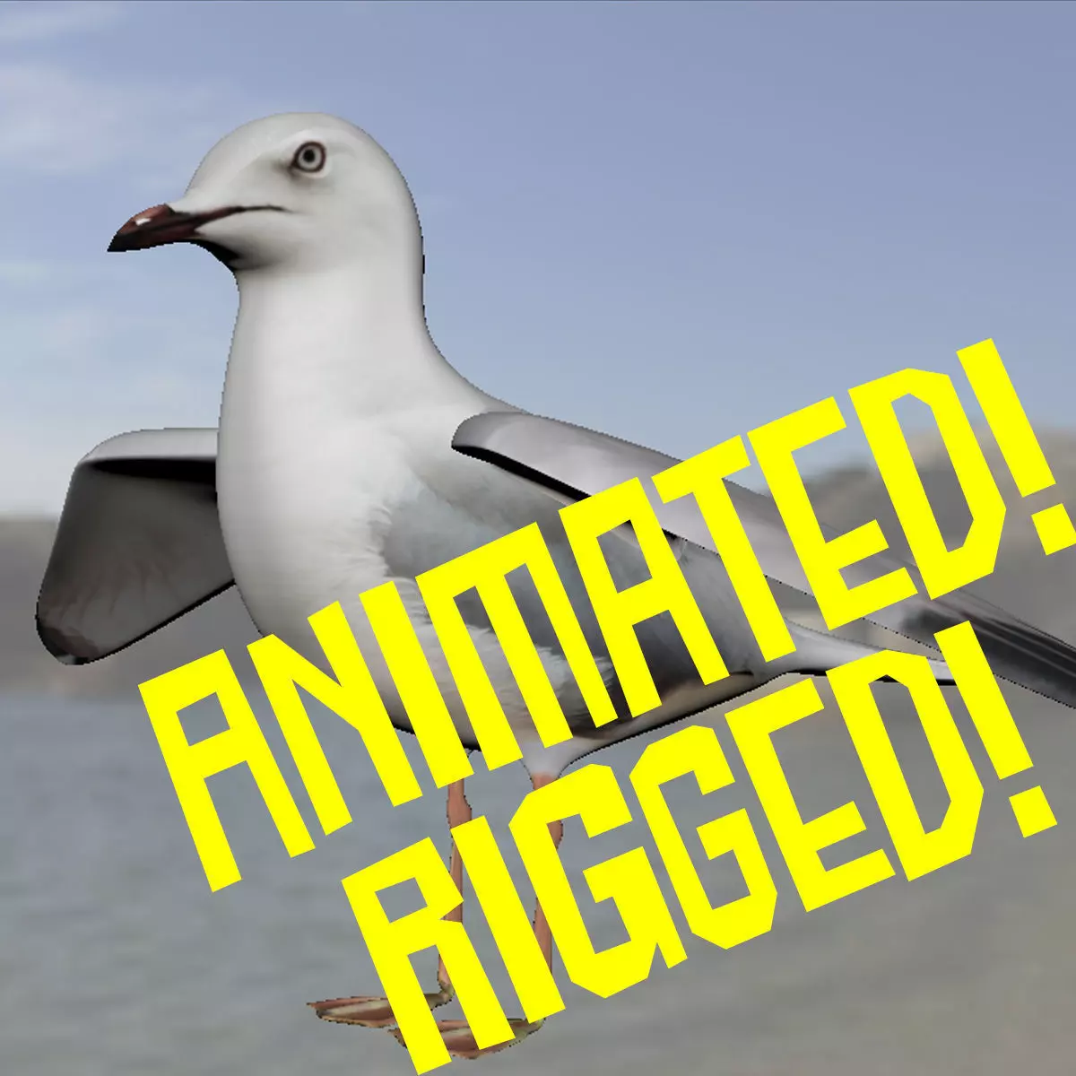 Realistic Seagull Model - Animated Low-poly 3D model_0