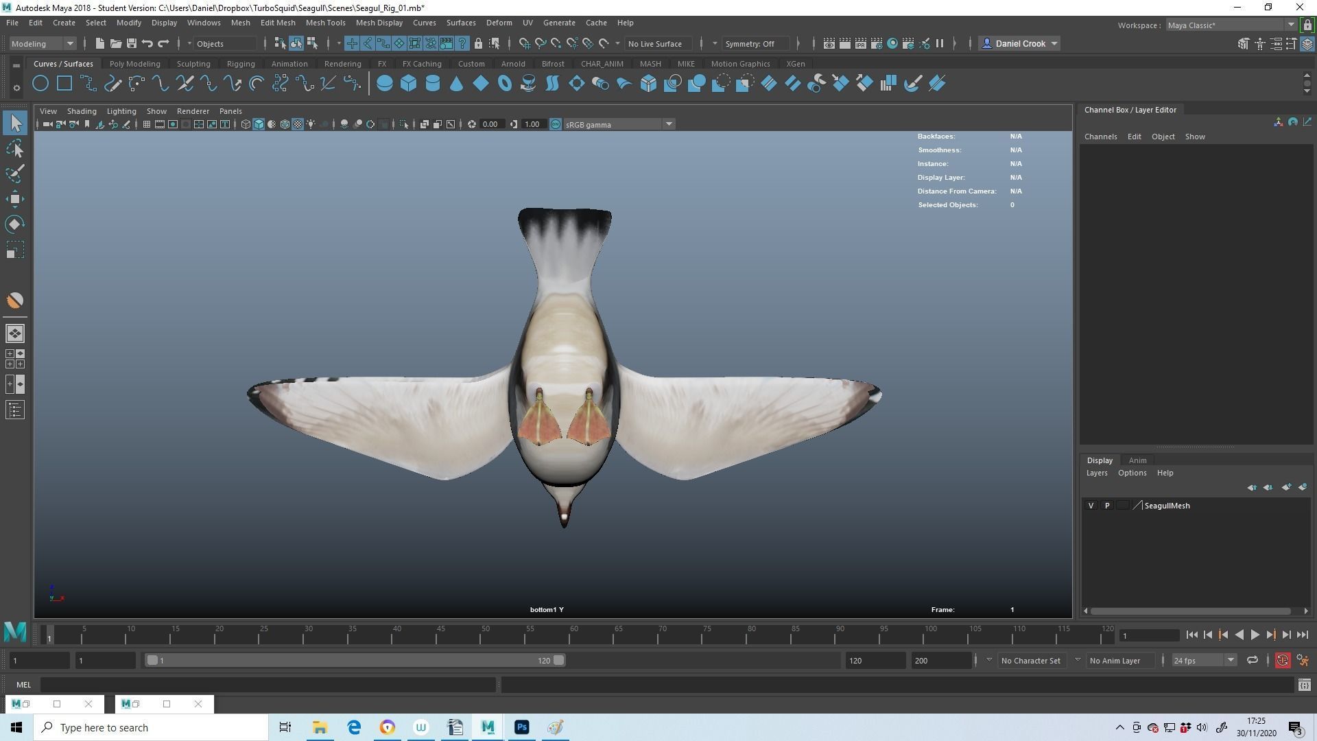 Realistic Seagull Model - Animated Low-poly 3D model_8