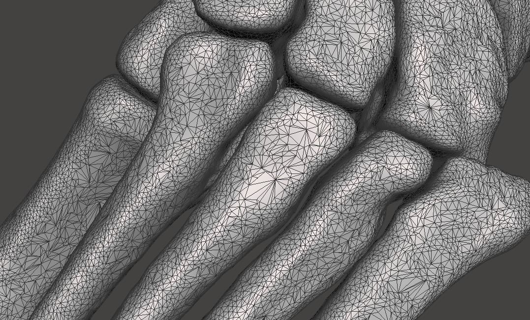 Left Foot - male 3D model_17