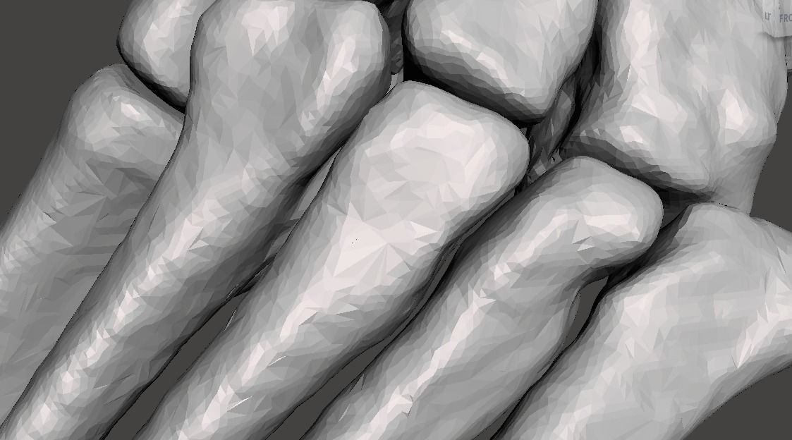 Left Foot - male 3D model_18