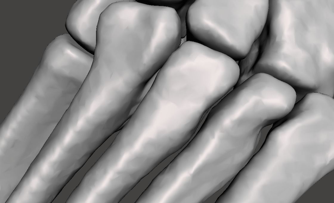Left Foot - male 3D model_19