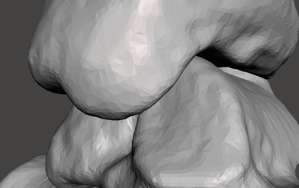 Left Foot - male 3D model_21