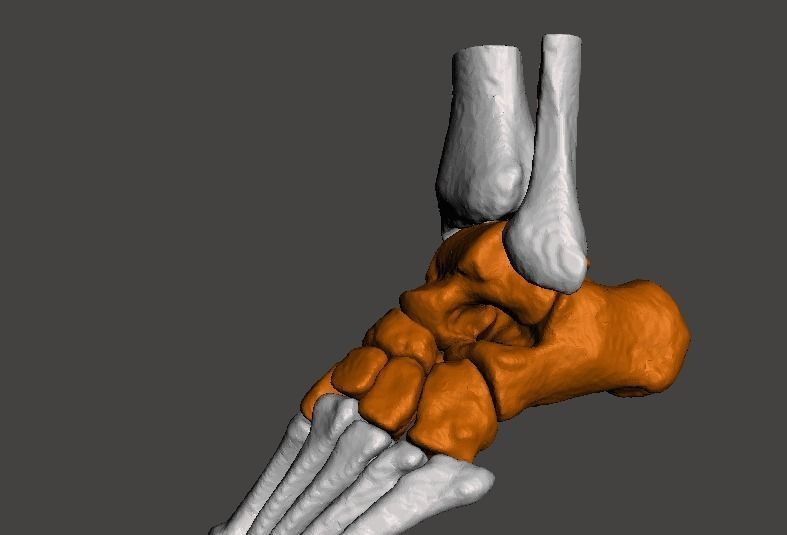 Left Foot - male 3D model_9