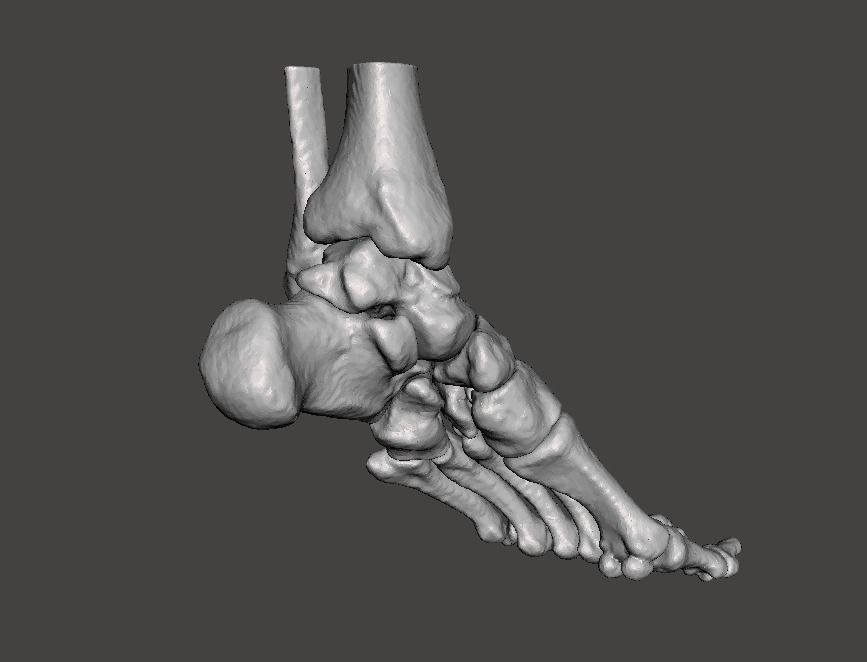Left Foot - male 3D model_25