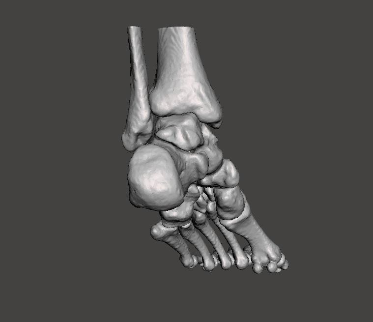 Left Foot - male 3D model_26