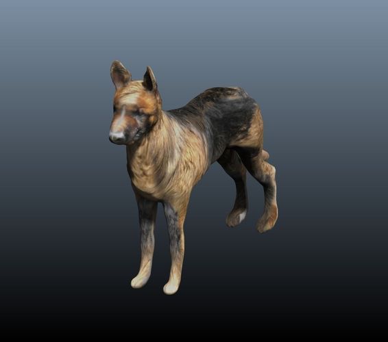 german shepard 3D model