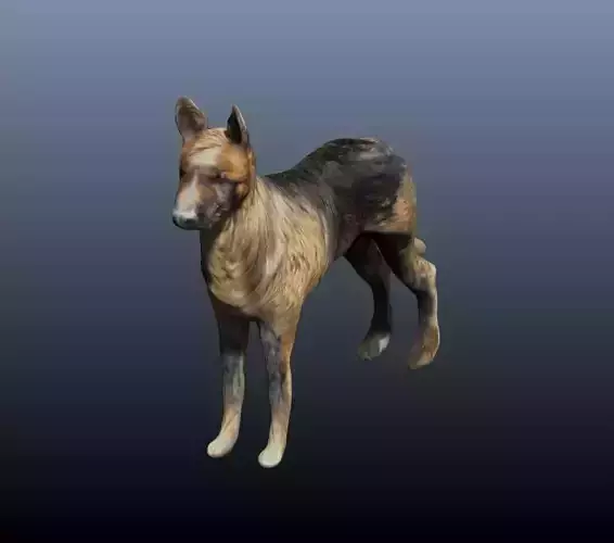 german shepard 3D model