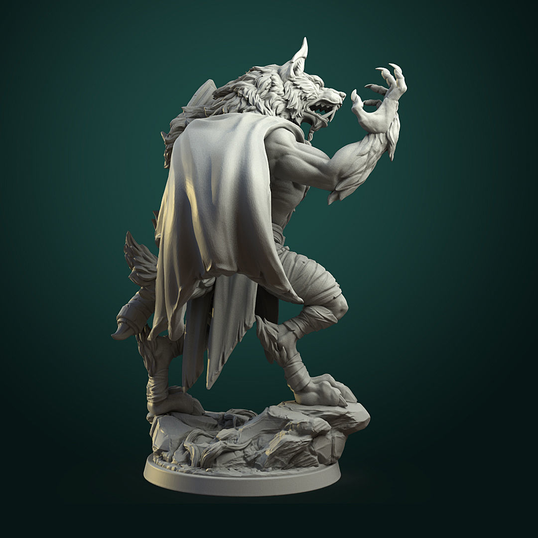 Werewolves bundle pre-supported  3D print model_12