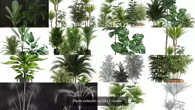 Plants collection vol 02