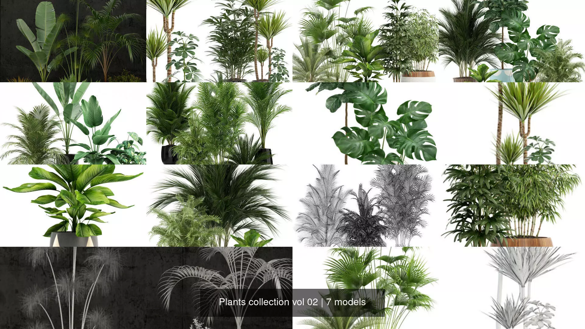 Plants collection vol 02 _1
