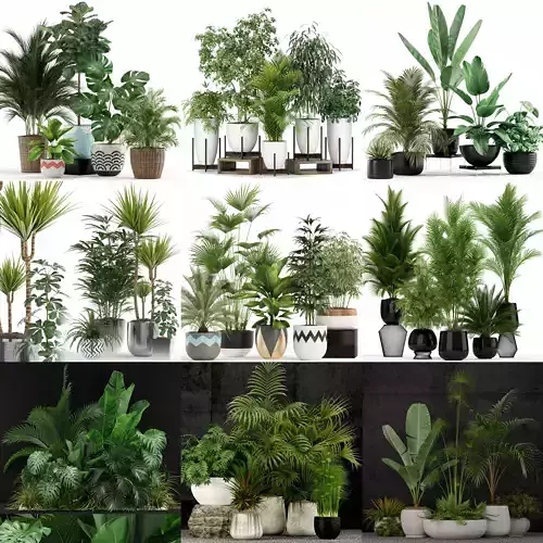 Plants collection vol 02 
