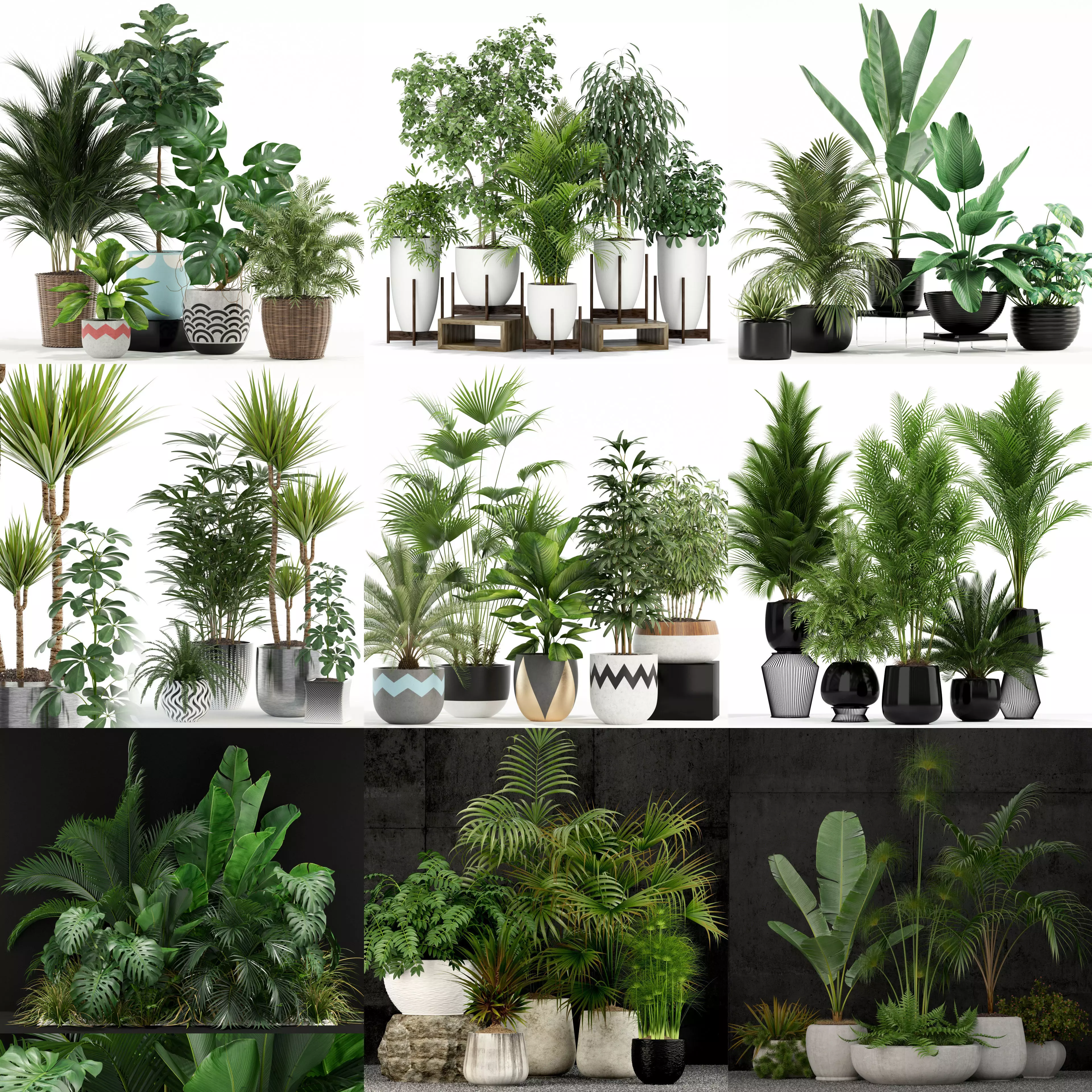 Plants collection vol 02 _0