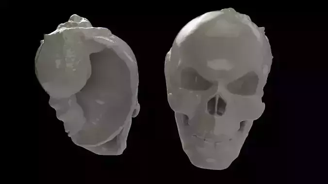 Skull-hermit-crab-shell 3D print model