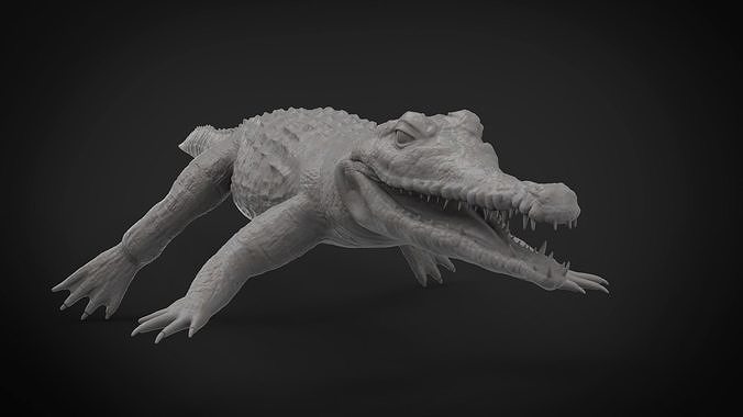 Realistic Crocodile Hi-Res with realistic skin 3D model  3D print model