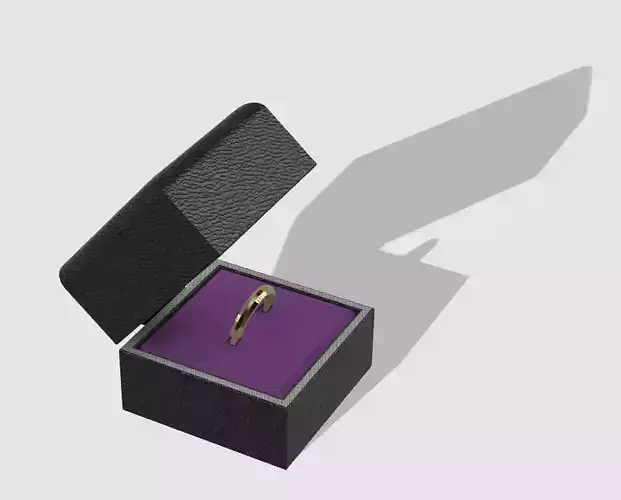 Ring in box 3D model