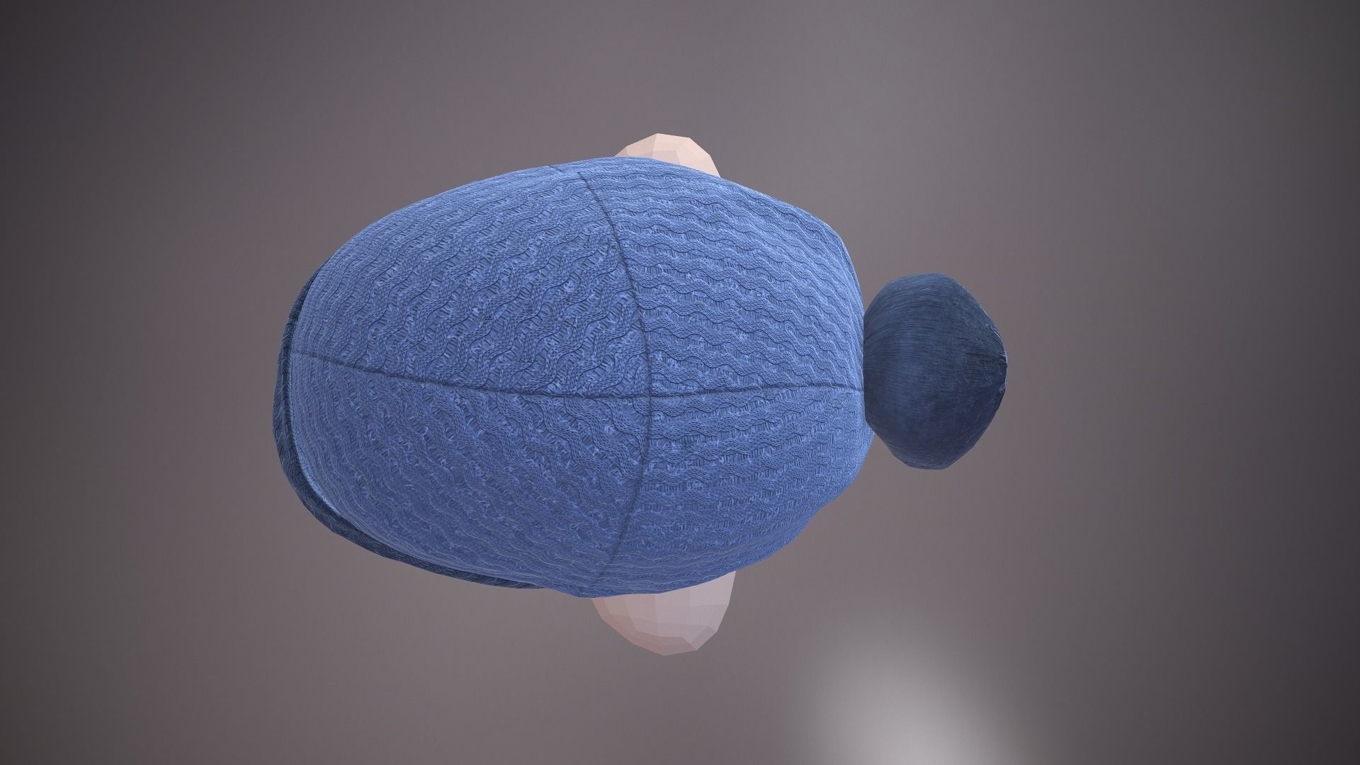 Bobble Hat Low-poly 3D model_6
