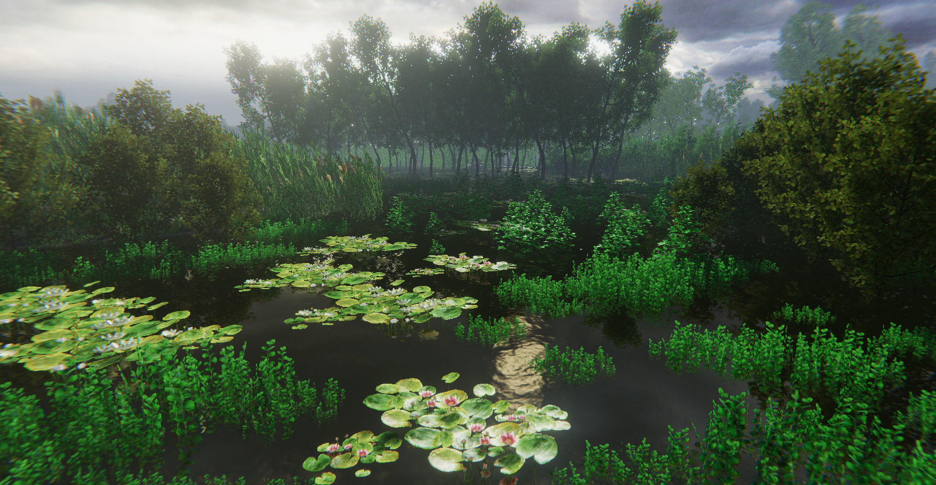 Nature Package - Swamp Forest Environment Unity Low-poly 3D model_11