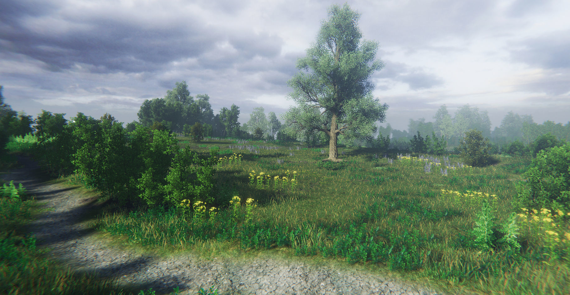 Nature Package - Swamp Forest Environment Unity Low-poly 3D model_8