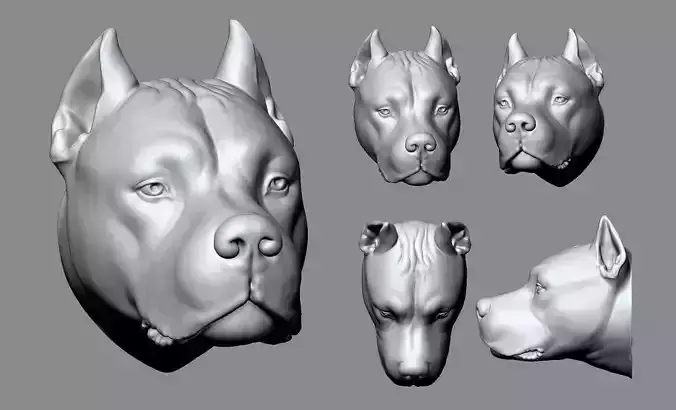 Dogo Dog Head