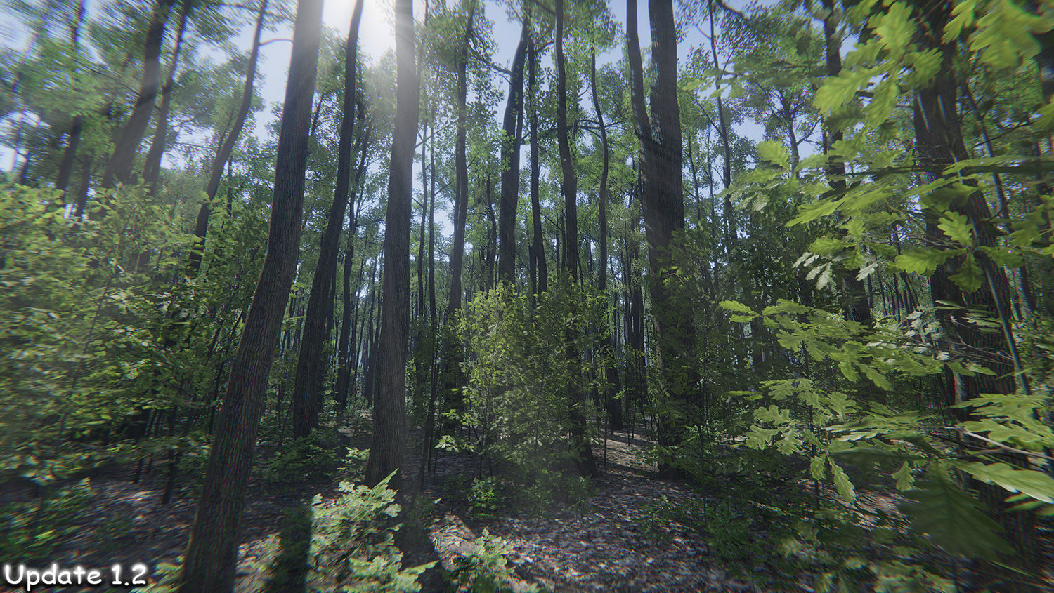 Oak Forest Environment Unity Update 1 2 Low-poly 3D model_4