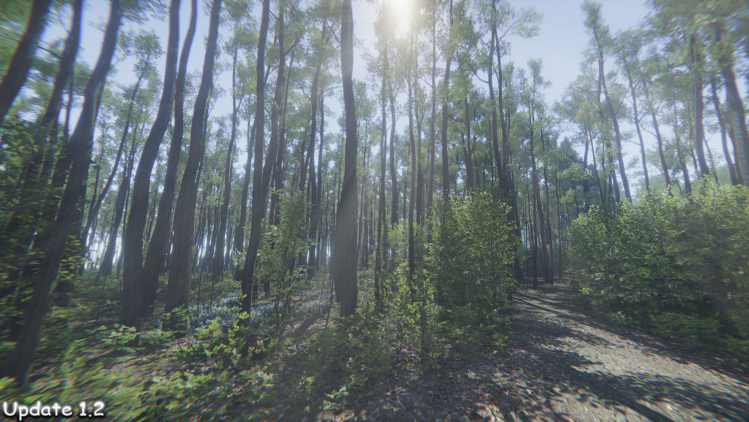 Oak Forest Environment Unity Update 1 2 Low-poly 3D model_5