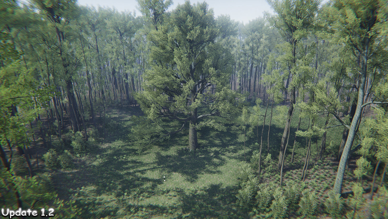 Oak Forest Environment Unity Update 1 2 Low-poly 3D model_12