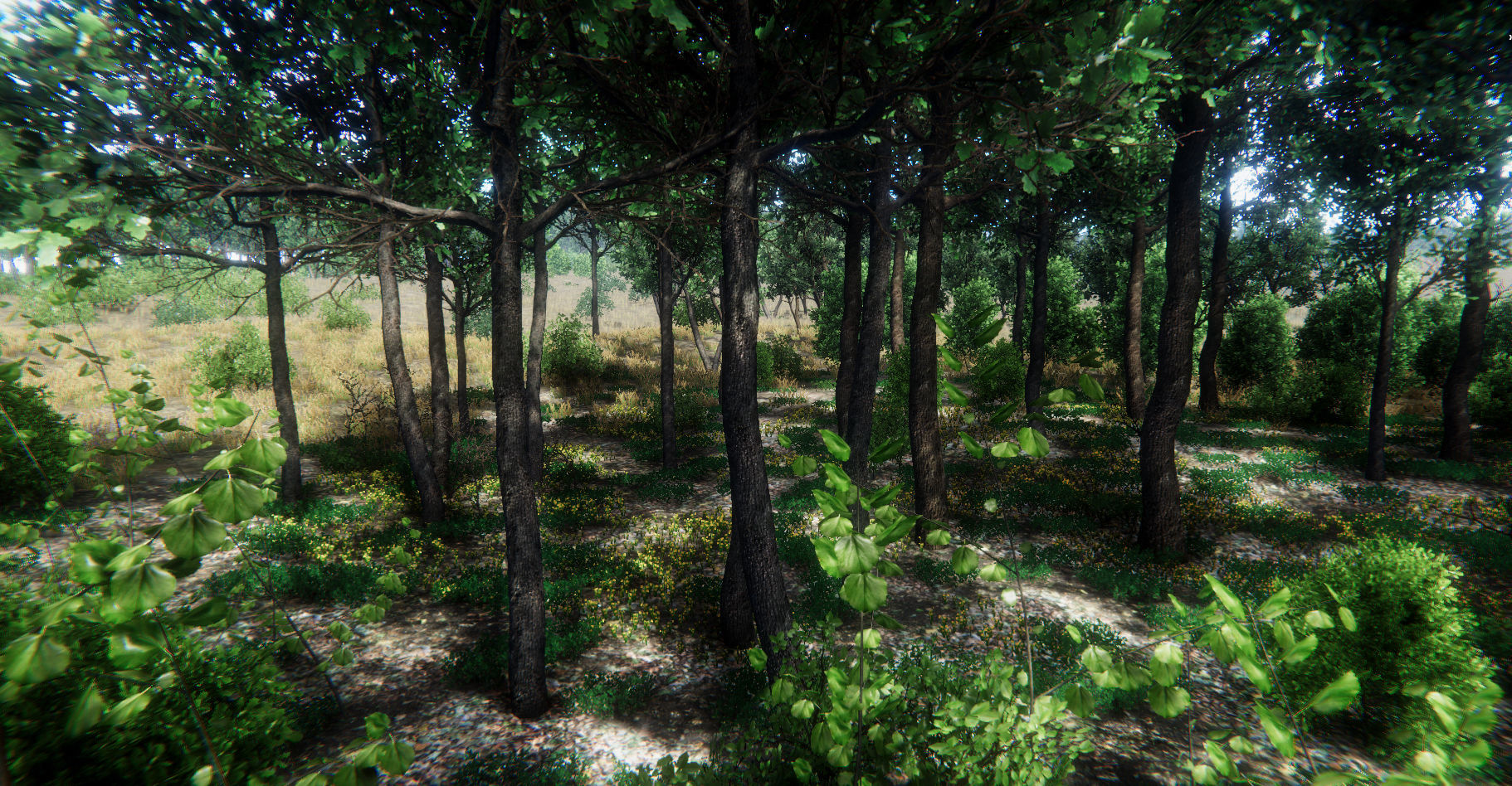 Oak Forest Environment Unity Update 1 2 Low-poly 3D model_23