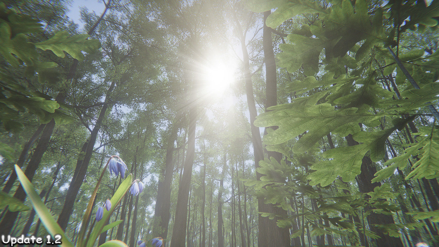 Oak Forest Environment Unity Update 1 2 Low-poly 3D model_7