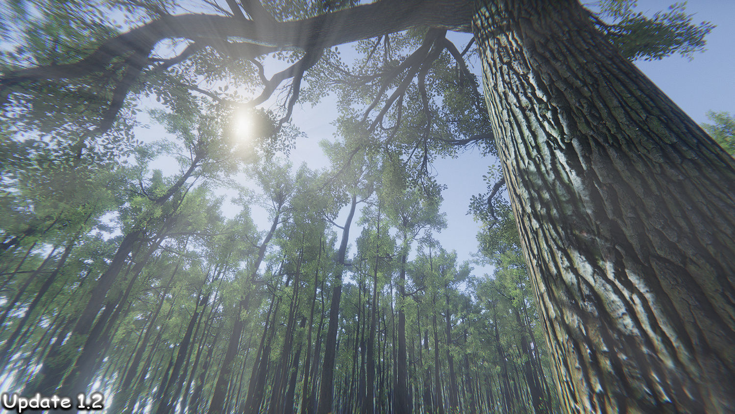 Oak Forest Environment Unity Update 1 2 Low-poly 3D model_8