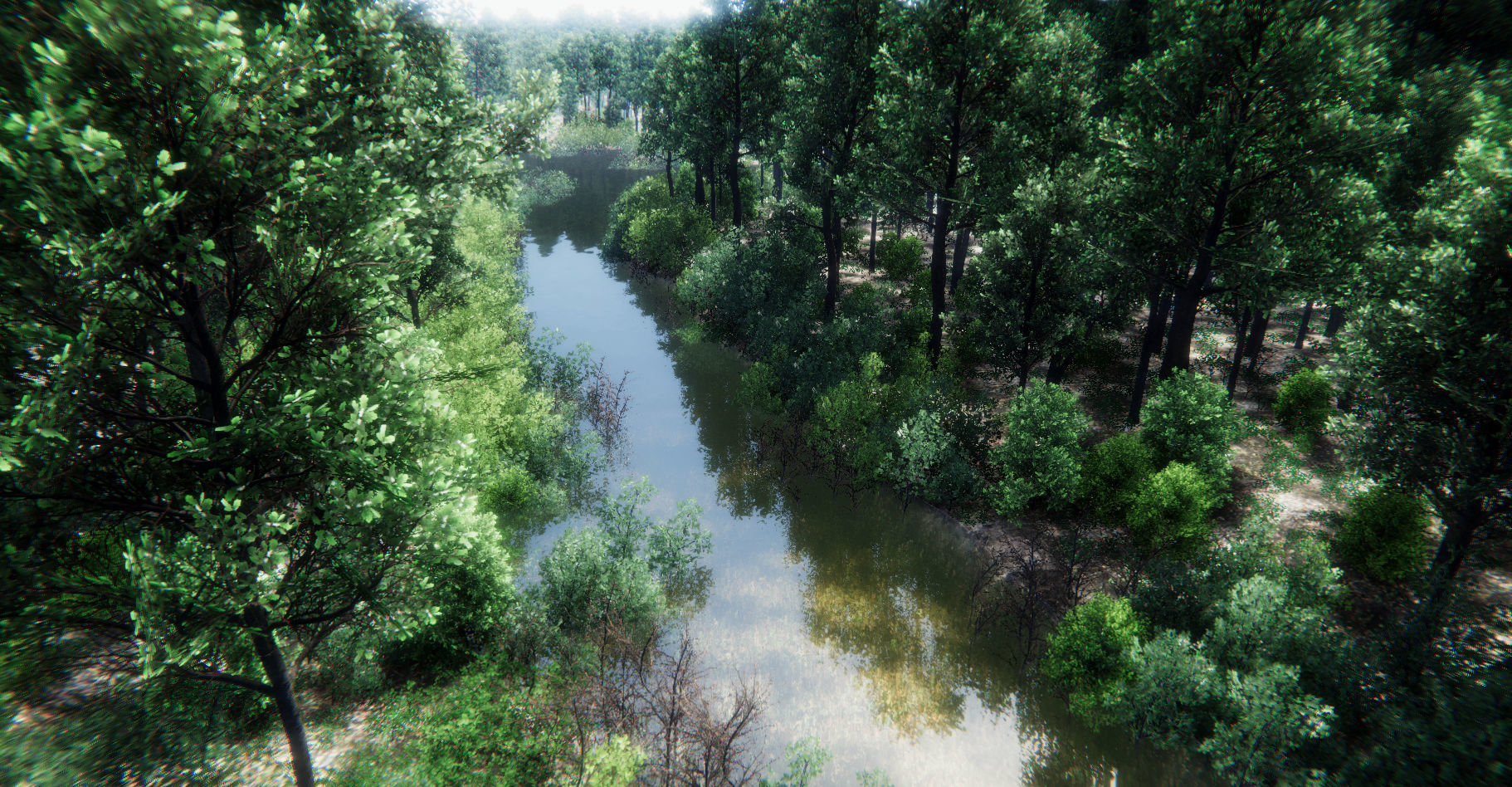 Oak Forest Environment Unity Update 1 2 Low-poly 3D model_33