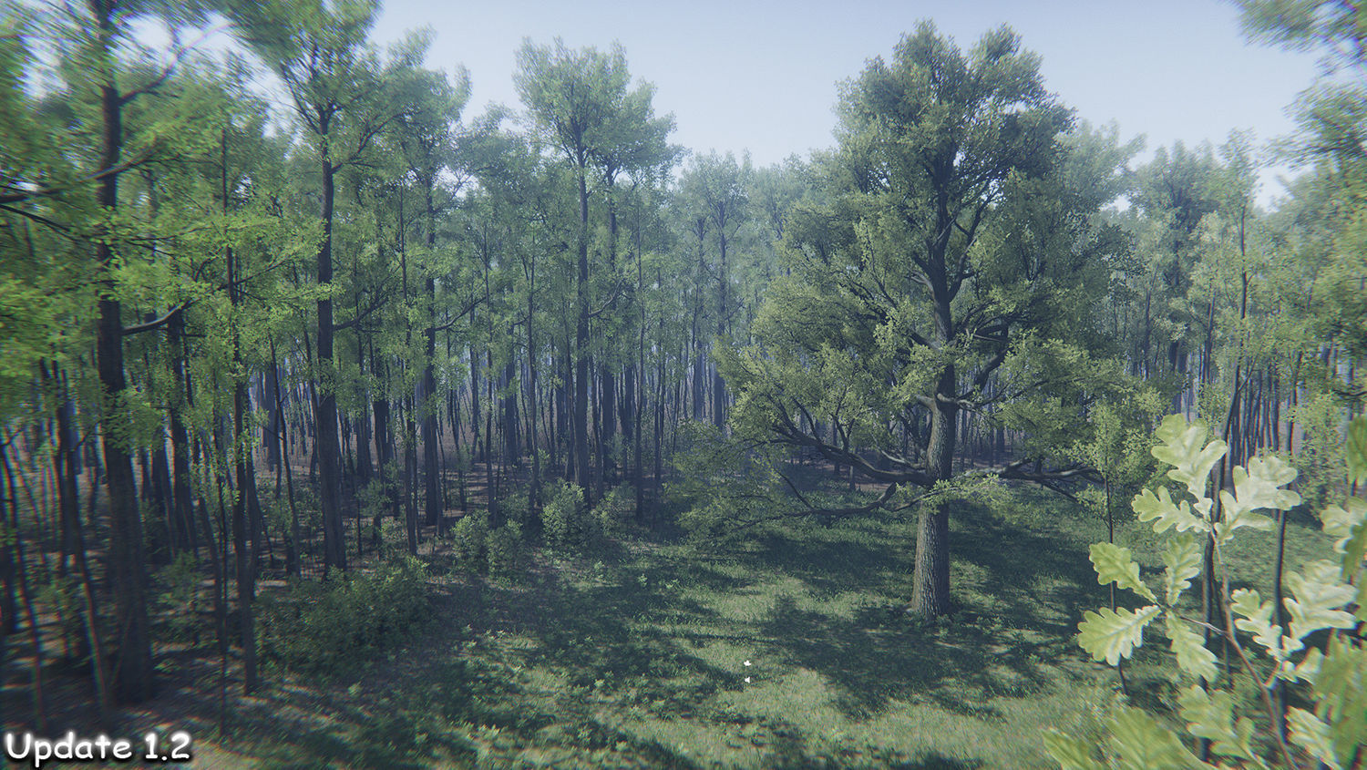 Oak Forest Environment Unity Update 1 2 Low-poly 3D model_11