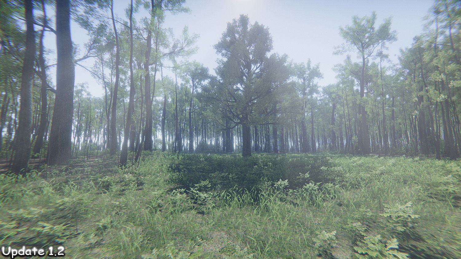 Oak Forest Environment Unity Update 1 2 Low-poly 3D model_6