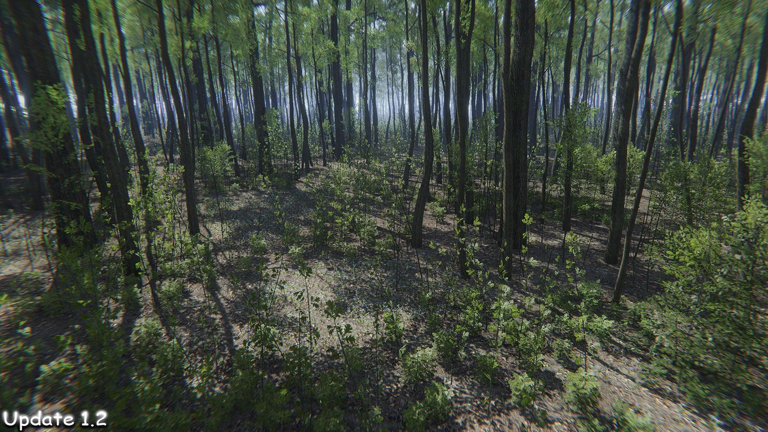 Oak Forest Environment Unity Update 1 2 Low-poly 3D model_10