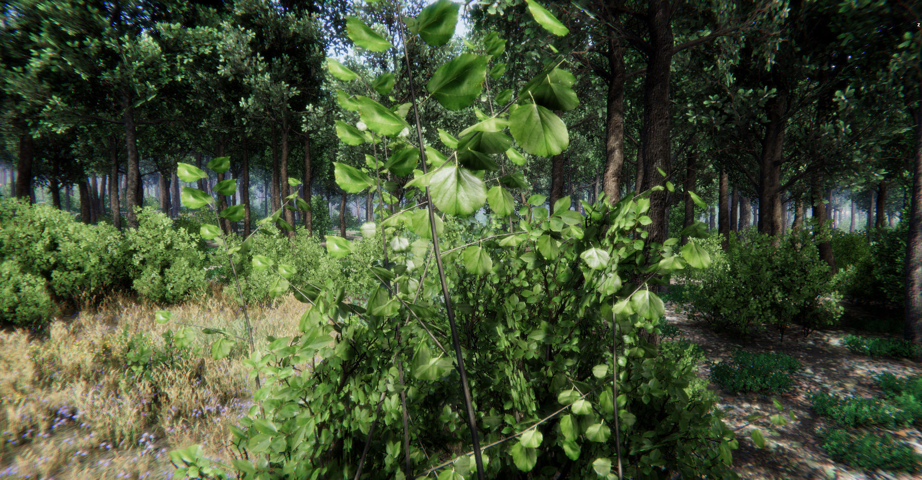 Oak Forest Environment Unity Update 1 2 Low-poly 3D model_15