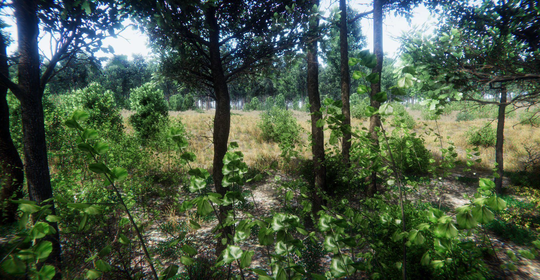 Oak Forest Environment Unity Update 1 2 Low-poly 3D model_19