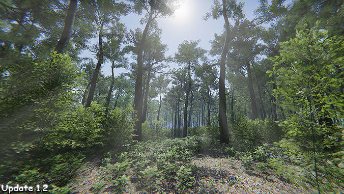 Oak Forest Environment Unity Update 1 2 Low-poly 3D model