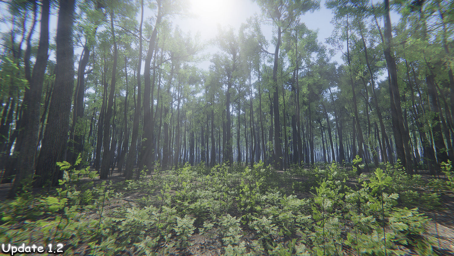 Oak Forest Environment Unity Update 1 2 Low-poly 3D model_9