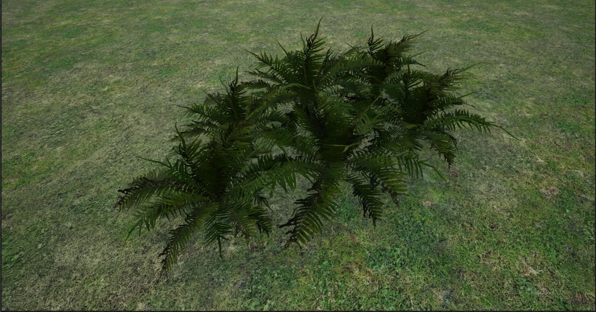 4K Lowpoly Fern Bush Plant Low-poly 3D model_8