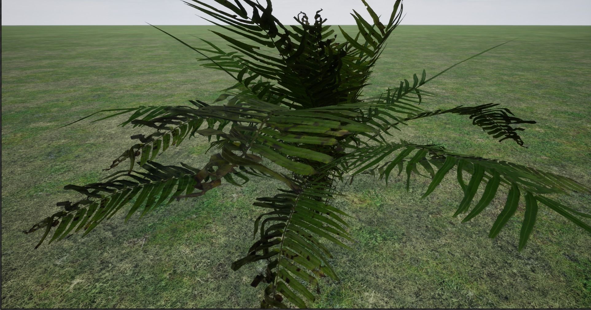 4K Lowpoly Fern Bush Plant Low-poly 3D model_6