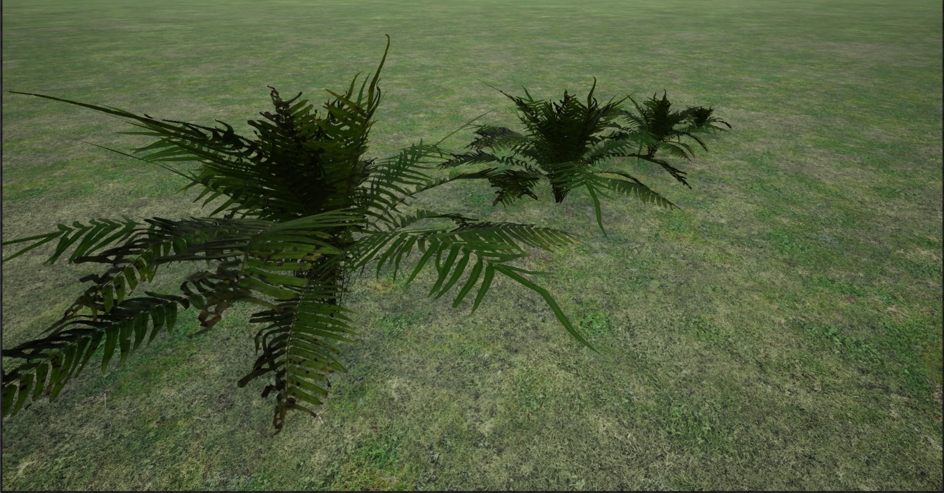 4K Lowpoly Fern Bush Plant Low-poly 3D model_15