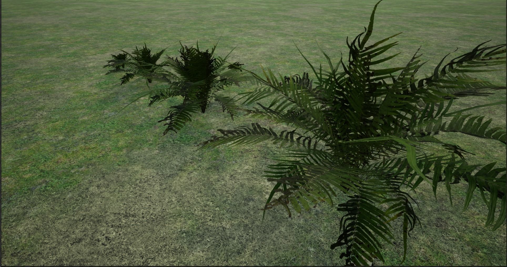 4K Lowpoly Fern Bush Plant Low-poly 3D model_16