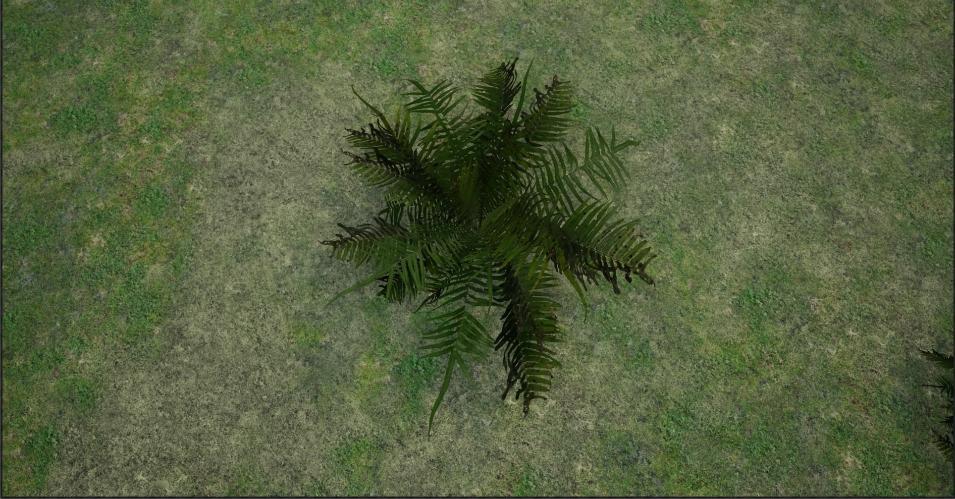 4K Lowpoly Fern Bush Plant Low-poly 3D model_4