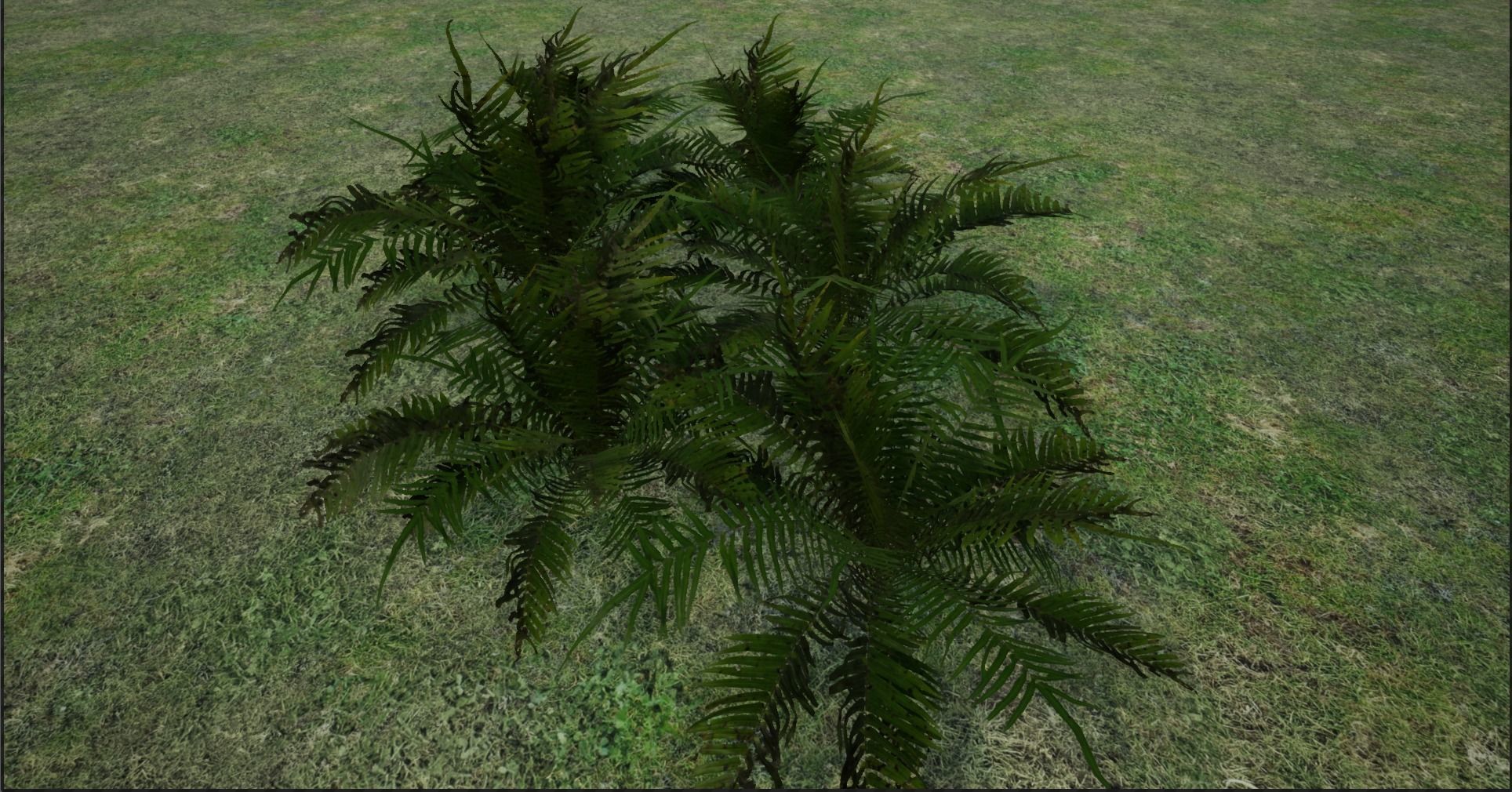 4K Lowpoly Fern Bush Plant Low-poly 3D model_12