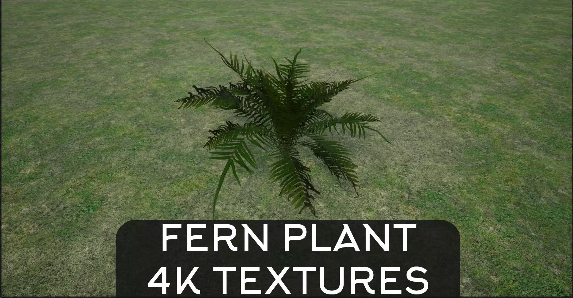 4K Lowpoly Fern Bush Plant Low-poly 3D model_0