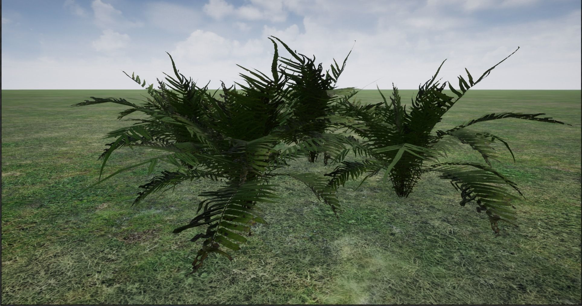 4K Lowpoly Fern Bush Plant Low-poly 3D model_10