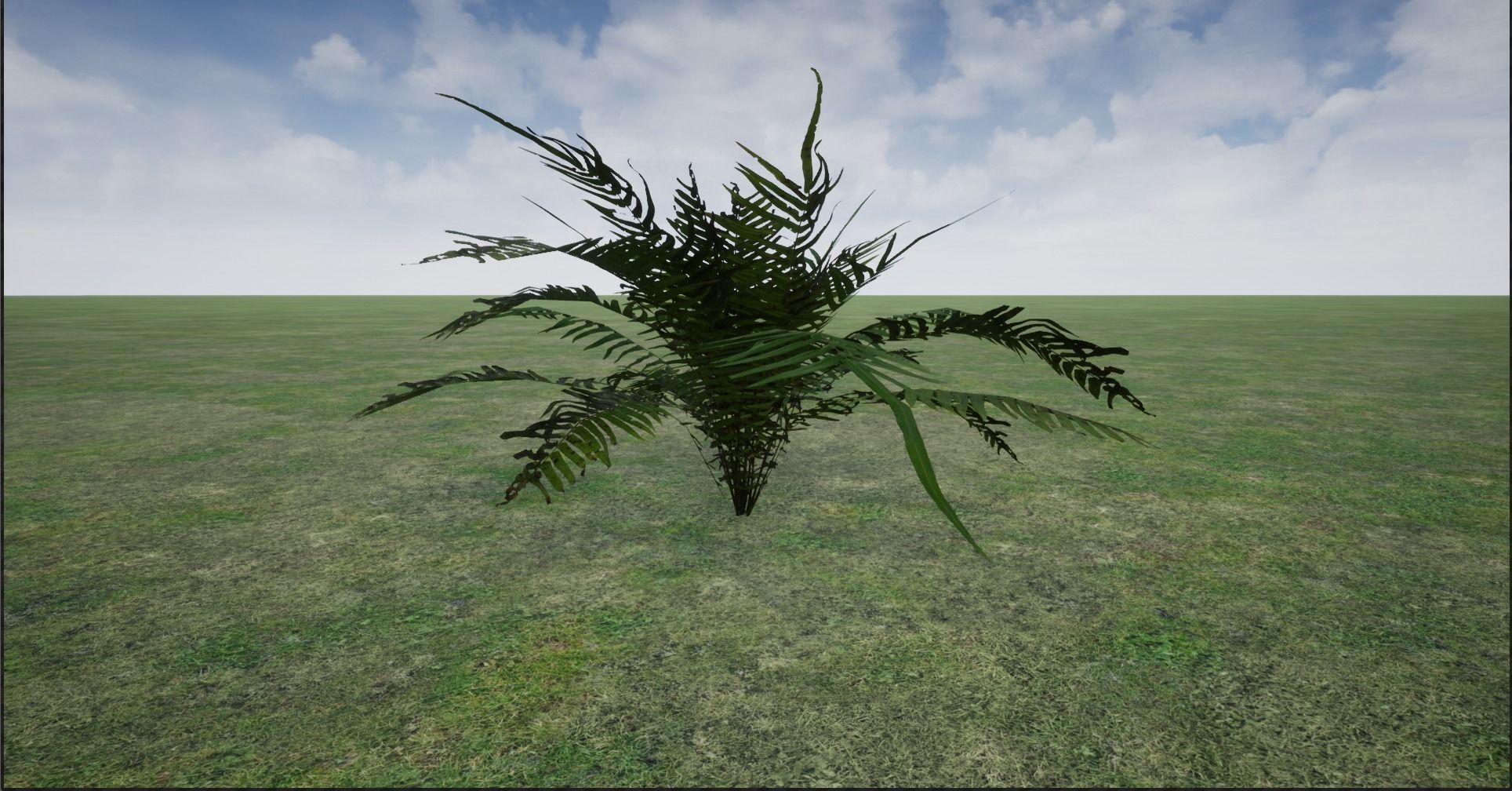 4K Lowpoly Fern Bush Plant Low-poly 3D model_7